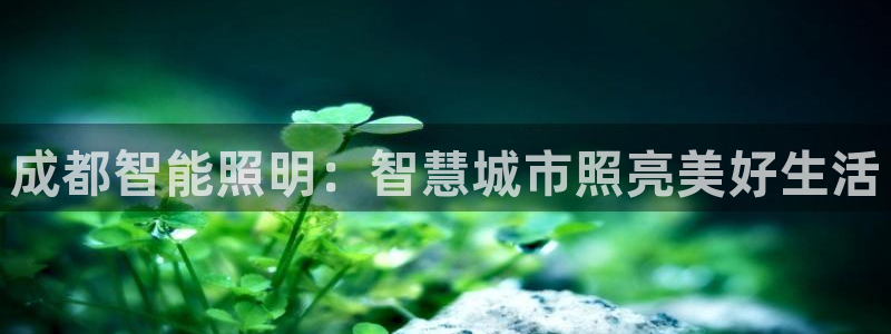 云顶国际北大街