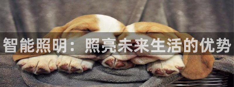 云顶国际北大街