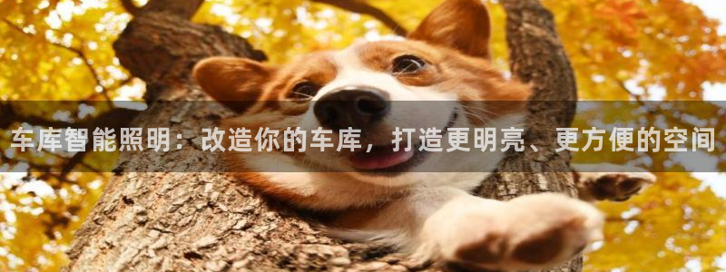 云顶国际物流官网电话