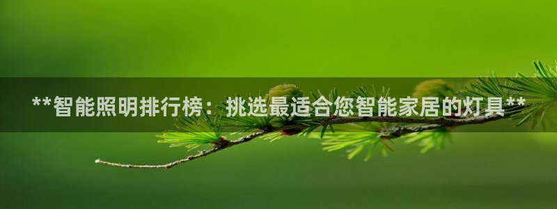 云顶国际集团 深圳