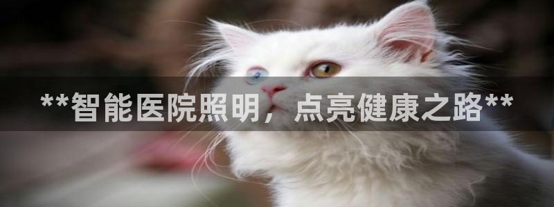 云顶集团官网电话号码