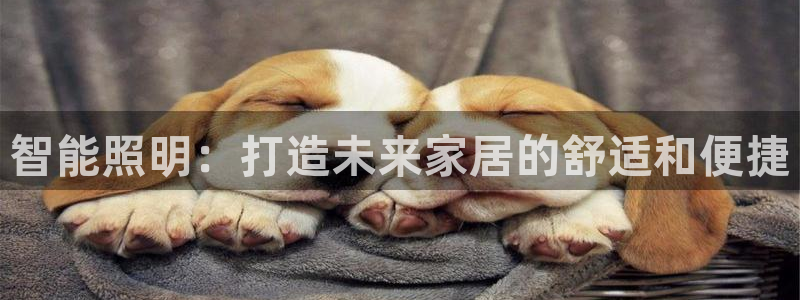 云顶官网网址