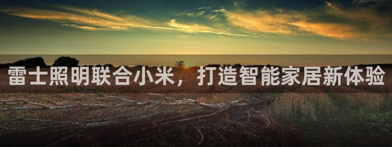 云顶国际集团官网网址
