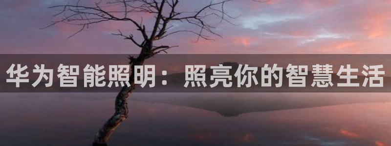 云顶集团app