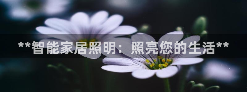 云顶国际二手房出售价格