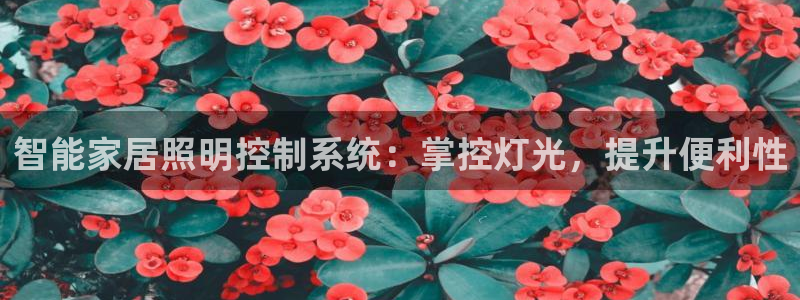 云顶国际电子游戏怎么玩