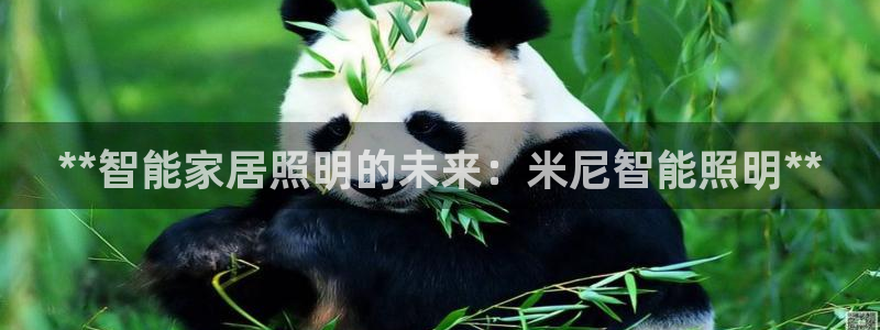 中国云顶集团