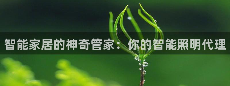 云顶国际黑网不出款