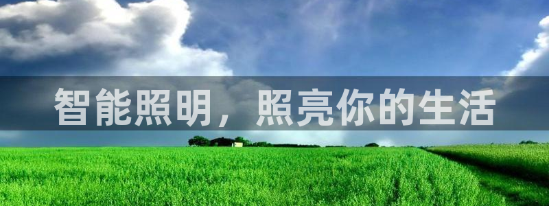 云顶国际集团 深圳