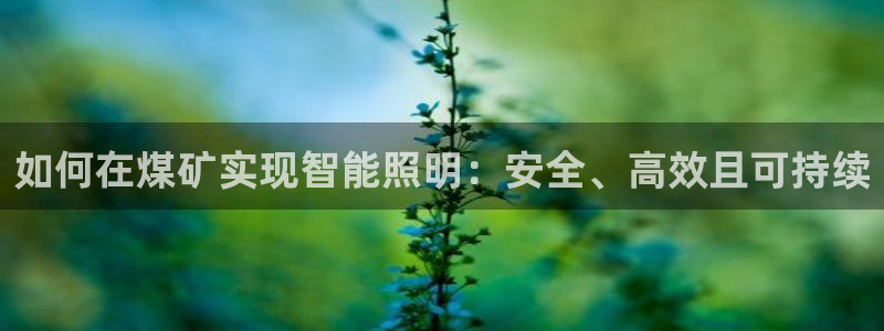 云顶集团网站安全吗