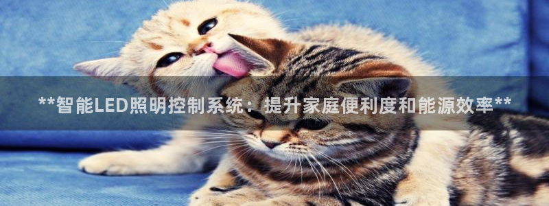 云顶国际二手房