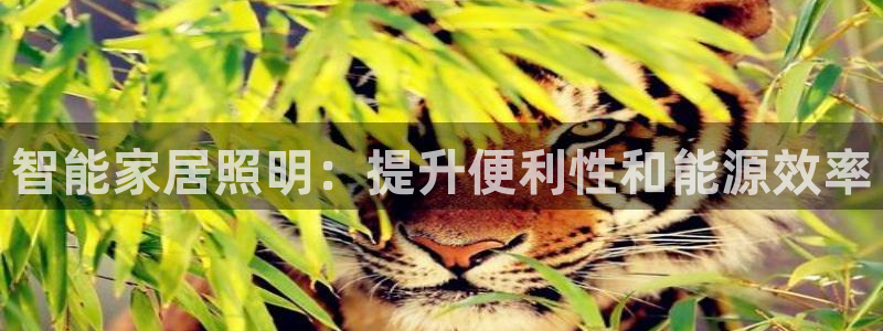 云顶国际培训机构