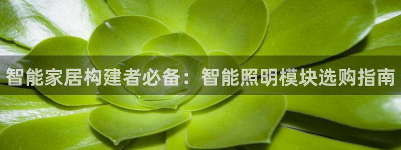 云顶zhi