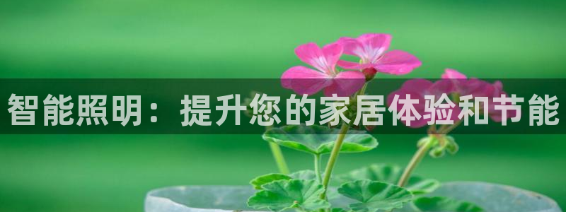 云顶国际酒店老板是谁