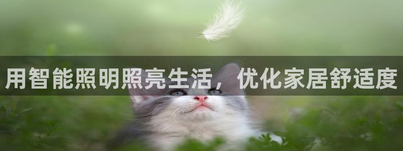 云顶集团下载