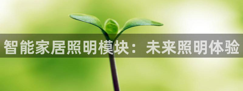 云顶集团注册送28官网