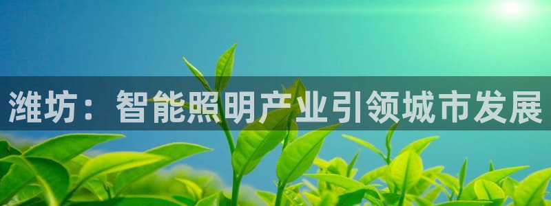 云顶集团app