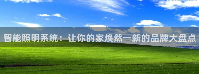 云顶国际游戏网址