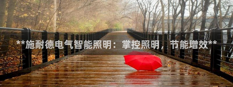 云顶国际网页版官网