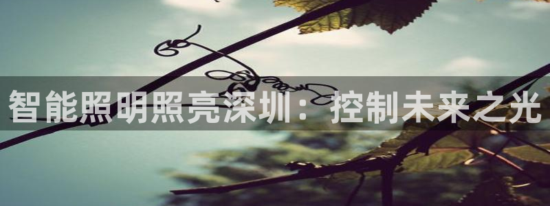 云顶国际线上平台