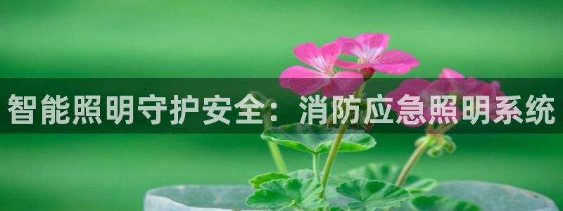 云顶国际滑雪度假小镇