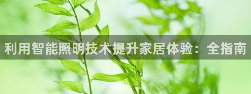 云顶国际注册送28