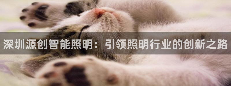 云顶集团游戏app8800