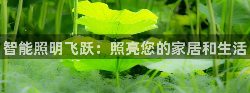 云顶671183