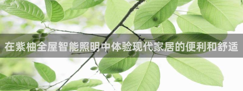 云顶国际大厦物业电话