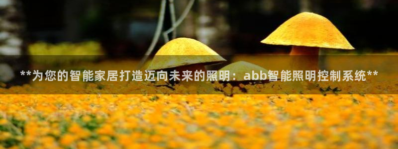 上海云顶国际会所有什么服务