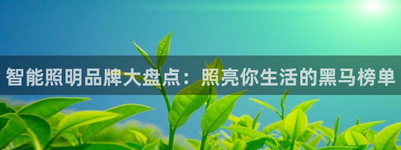 云顶国际培训中心怎么样