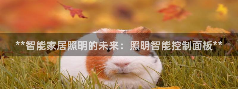 云顶集团游戏app8800