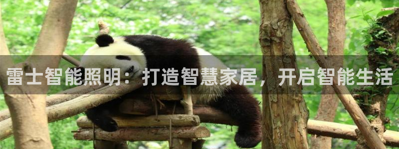 云顶国际培训中心怎么样