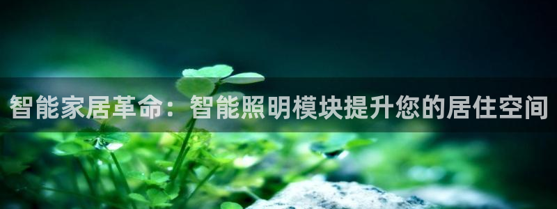 云顶国际是个什么网站