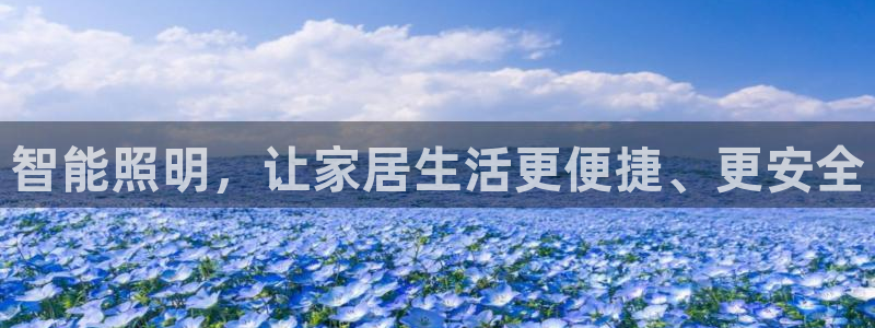 9559云顶国际