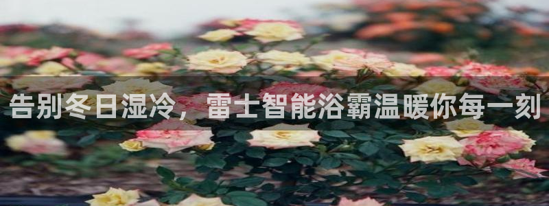 云顶国际是个什么平台