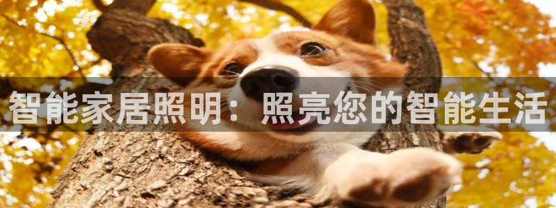 云顶国际宴会中心电话
