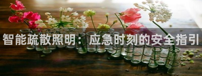 云顶国际足球app下载安装