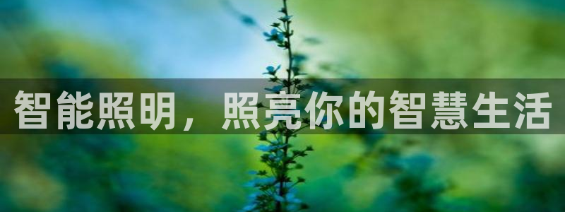 云顶集团公司简介图片