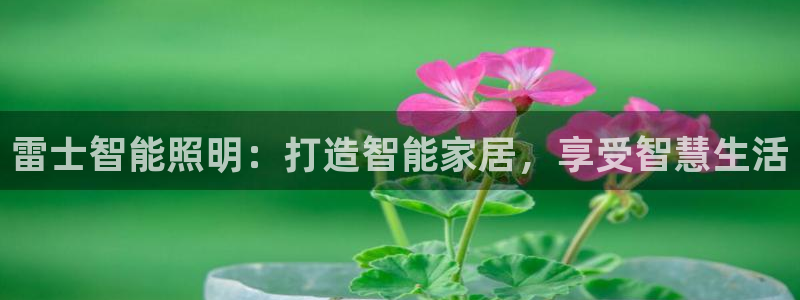 云顶最新线路检测