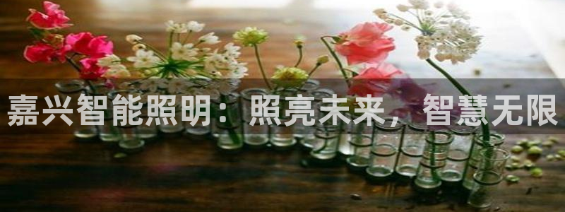 云顶国际pg网站