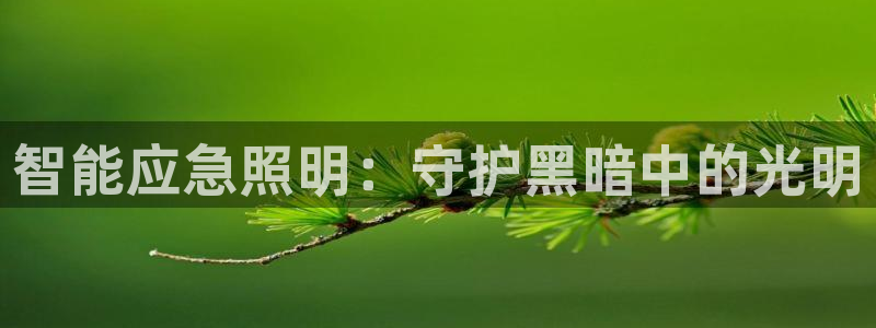 lol云顶国际服