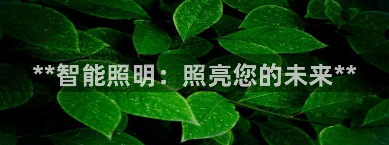 云顶集团网站安全吗