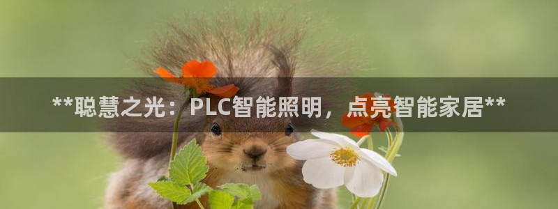 上海云顶国际会所有什么服务