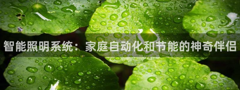 云顶国际区块链怎么样啊