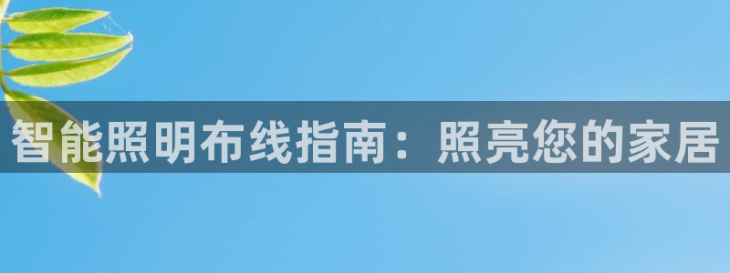 云顶国际百度百科下载