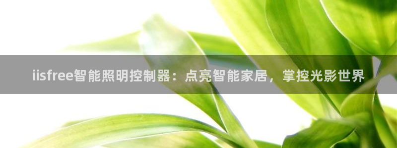 yd12300云顶线路(中国)有限公司