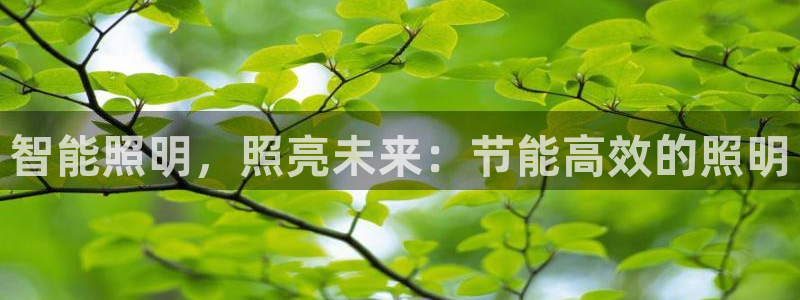 云顶平台网址