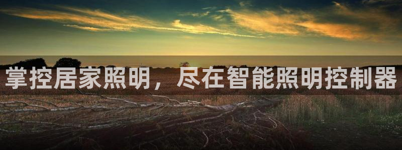 云顶国际服和美服通的吗