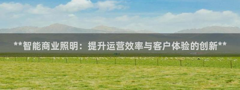 云顶集团公司 英文